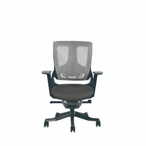 ���E ���[�o�b�N 475491 [�O���[]