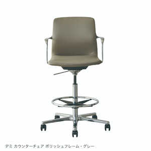 関家具 デミ カウンターチェアタイプ ポリッシュフレーム 487893