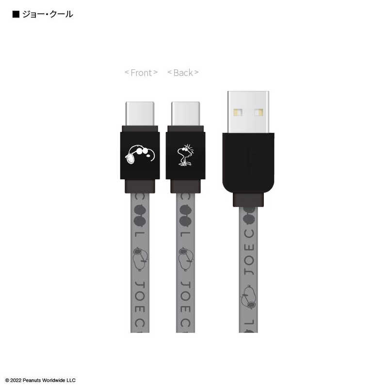 グルマンディーズ グルマンディーズ USB Type-C対応 同期&充電ケーブル ジョー・クール SNG647B SNG647B