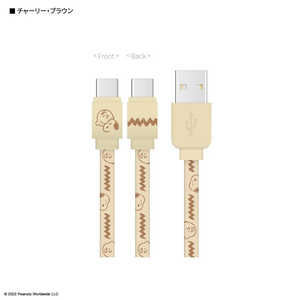 グルマンディーズ USB Type-C対応 同期&充電ケーブル チャーリー・ブラウン SNG647C