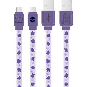 グルマンディーズ ポケットモンスター USB Type-C対応 同期＆充電ケーブル メタモン POKE824B