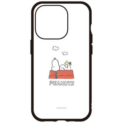 グルマンディーズ iPhone 15 Pro(6.1インチ) IIII fit ケース