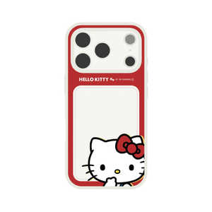 O}fB[Y iPhone17 Pro IIIIfit vvt[ TILN^[Y SANG-580KT