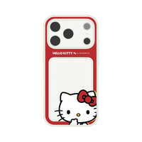 グルマンディーズ iPhone17 Pro IIIIfit プランプフレーム サンリオ