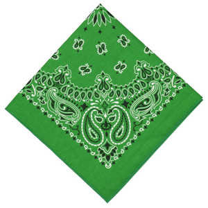 バックヤードファミリー ハバハンク HAV-A-HANK PAISLEY BANDANNA 30.グリーン HAVAHANK15702300 バックヤードファミリー ハバハンク HAV-A-HANK PAISLEY BANDANNA 30.グリーン HAVAHANK15702300