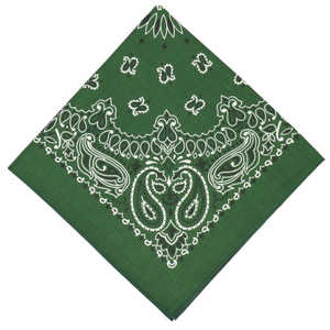 バックヤードファミリー ハバハンク HAV-A-HANK PAISLEY BANDANNA 39.モスグリーン HAVAHANK15702300 バックヤードファミリー ハバハンク HAV-A-HANK PAISLEY BANDANNA 39.モスグリーン HAVAHANK15702300