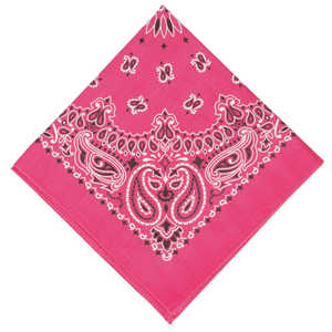 バックヤードファミリー ハバハンク HAV-A-HANK PAISLEY BANDANNA 63.シェードピンク HAVAHANK15702300 バックヤードファミリー ハバハンク HAV-A-HANK PAISLEY BANDANNA 63.シェードピンク HAVAHANK15702300