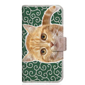 CASEMARKET Google Pixel 4 NYAGO スリム手帳型ケース ノート キュート 甘えんぼう 茶トラ 猫 ペロペロするにゃ~。 にゃんとも 和風 だにゃ~。 唐草模様 緑 G020 CASEMARKET Google Pixel 4 NYAGO スリム手帳型ケース ノート キュート 甘えんぼう 茶トラ 猫 ペロペロするにゃ~。 にゃんとも 和風 だにゃ~。 唐草模様 緑 G020