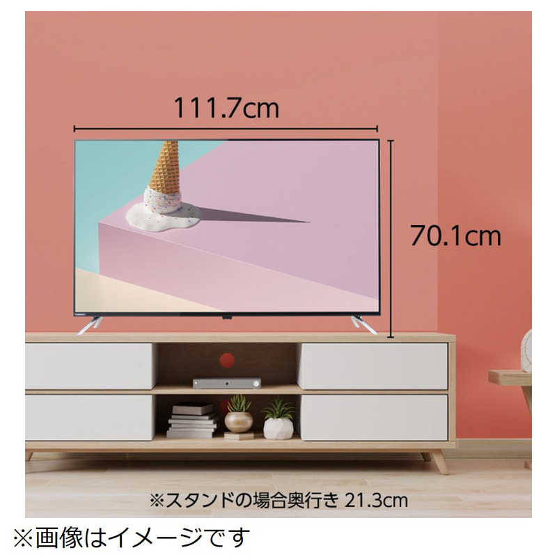 オリオン電機 オリオン電機 液晶テレビ 50V型 4Kチューナー内蔵 OL50XD100 OL50XD100