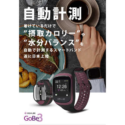 【専用品】HEALBE GoBe3 HEALBE スマートウォッチ HEALBE GoBe3(ヒールビーゴービー3