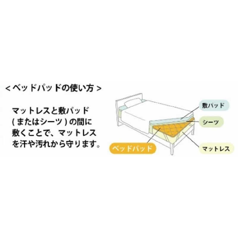 イケヒコ イケヒコ 防ダニベッドパッド シングルサイズ (100×200cm)  