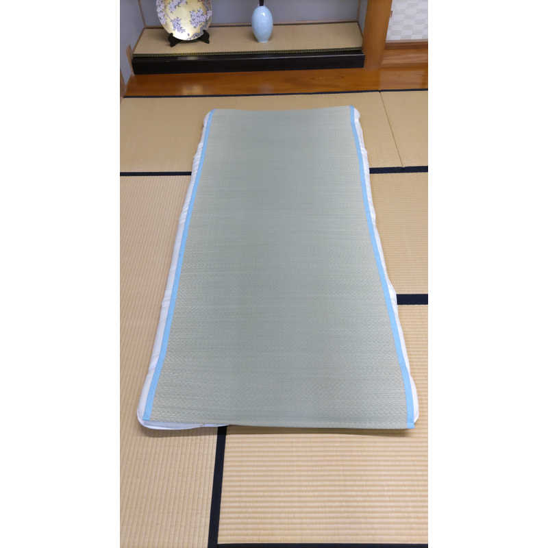 イケヒコ イケヒコ い草 敷きパッド (シングルサイズ/88×200cm)  