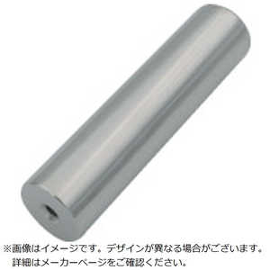 ȥ饹滳 TRUSCOޥͥåΥߡצ25X100 MG10M6E