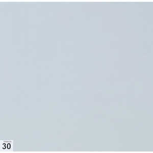 トラスコ中山 TRUSCO エアーシャワー用粘着シート(穴なし) 300X300 30枚 高粘度 白 ASSF3030W