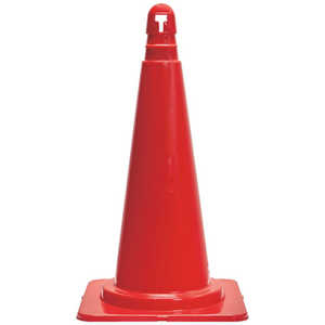 �ȥ饹���滳 �����ɥС���ȴ���ˤ����ޥ������������ TCCGP