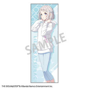 J~IWp wACh}X^[ OXNGAʃobW/郊[