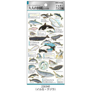 ߥѥ PMͤο޴ե 륫 226340