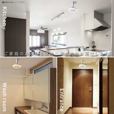 ドウシシャ サーキュライト メガ 引掛けシーリングタイプ 調色