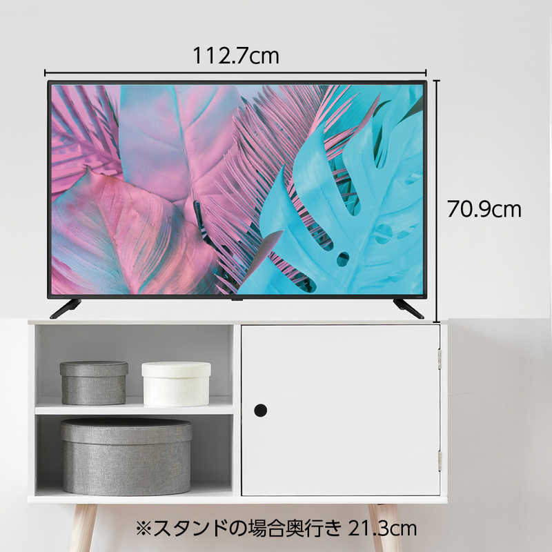 オリオン電機 オリオン電機 液晶テレビ 50V型 ORION BASIC ROOMシリーズ OL50WD300 OL50WD300