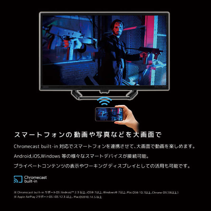 オリオン電機 オリオン電機 チューナーレステレビ 24V型 ハイビジョン（TVチューナー非搭載） SLHD241 SLHD241