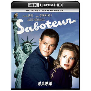 NBCユニバーサル 逃走迷路 4K Ultra HD+ブルーレイ NBCユニバーサル 逃走迷路 4K Ultra HD+ブルーレイ