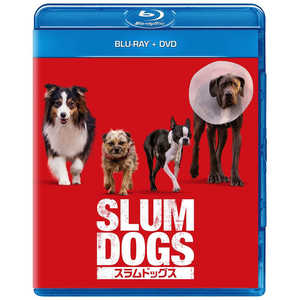 NBCユニバーサル スラムドッグス ブルーレイ+DVD NBCユニバーサル スラムドッグス ブルーレイ+DVD