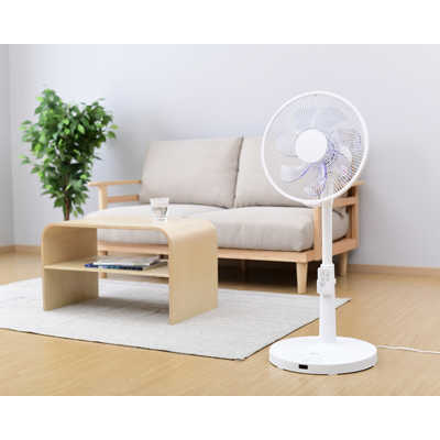 ヤマゼン 30cm DCモーター搭載リビング扇風機 7枚羽根 フルリモコン (W 