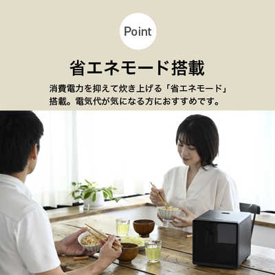 ヤマゼン 炊飯器 2合 キューブ型 マイコン ブラック NEJS-025CM-B の