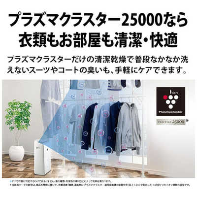 シャープ SHARP 衣類乾燥除湿機 コンプレッサー方式 プラズマ
