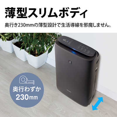SHARP やさしい プラズマクラスター
