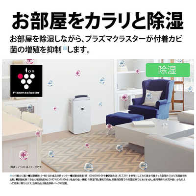 シャープ SHARP 【アウトレット】冷風・衣類乾燥除湿機