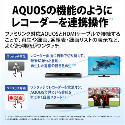 シャープ　SHARP ブルーレイレコーダー AQUOS(アクオス) ［2TB /3番組同時録画］ 2B-C20GT1