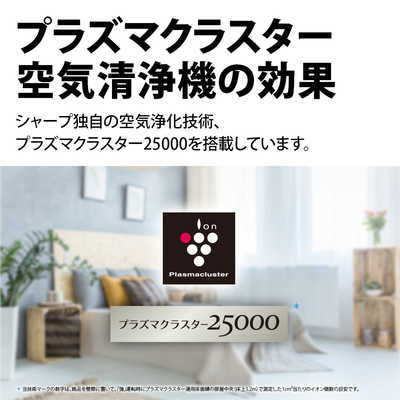 self-portrait PF25047SAPPINK 関税送料込 self-portrait | Women's Ready to Wear | Official Store