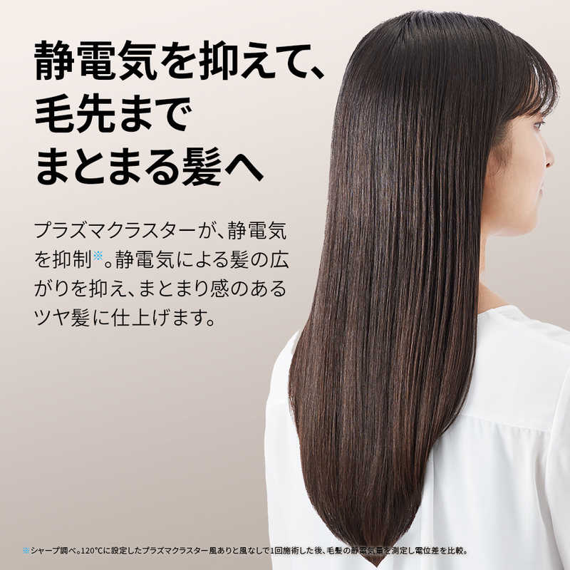 シャープ　SHARP シャープ　SHARP プラズマクラスターストレートアイロン 120℃～200℃ 海外対応 交流(コード)式 ミッドナイトブラック IB-S8000-B IB-S8000-B