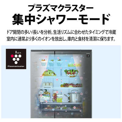 シャープ SHARP 冷蔵庫 6ドア 545L フレンチドア(観音開き) プラズマ