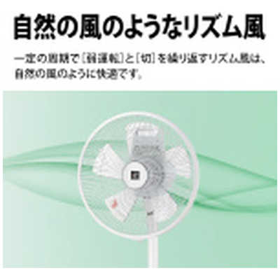 シャープ SHARP リビング扇風機 ホワイト PJ-T3AS-W の通販
