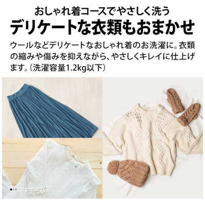 シャープ SHARP 全自動洗濯機 洗濯6.0kg シルバー系 ES-GE6J-S の通販