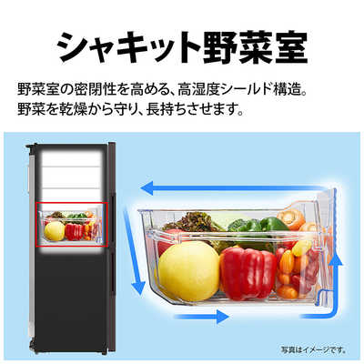 シャープ SHARP 冷蔵庫 2ドア 280L 右開き プラズマクラスター