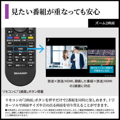 シャープ SHARP 4T-C55HS1 有機ELテレビ AQUOS アクオス 量子ドット