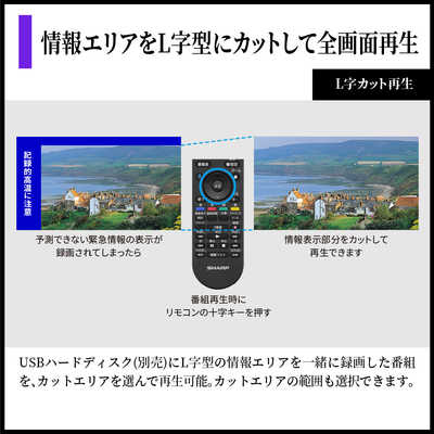 シャープ SHARP 4T-C42HQ2 有機ELテレビ AQUOS アクオス [ 42V型 / 4K