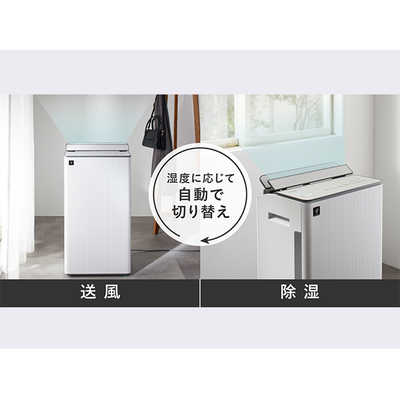 シャープ SHARP 【アウトレット】衣類乾燥除湿機 コンプレッサー方式