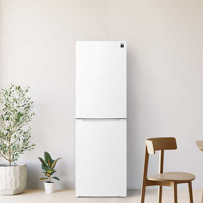 地域限定送料無料　超美品【 SHARP 】シャープ 230L 2ドア 冷凍冷蔵庫 メガフリーザー　プラズマクラスターイオン フレッシュ野菜ケース SJ-BD23K デンキチWeb / シャープ SHARP 冷蔵庫 2ドア 230L 右開き プラズマ