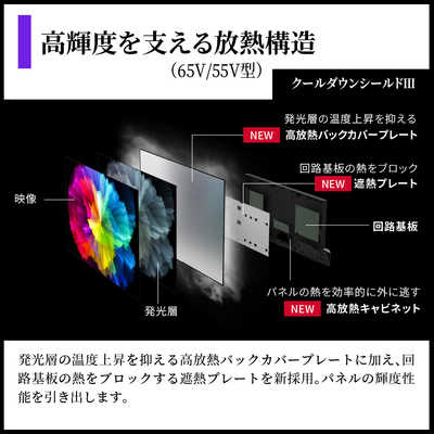 シャープ SHARP 有機ELテレビ AQUOS OLED アクオス オーレッド S9A 65V