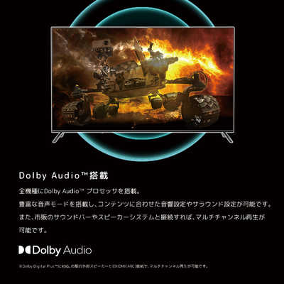 オリオン電機 チューナーレステレビ 65V型 4K対応（TVチューナー非搭載） SAUD651