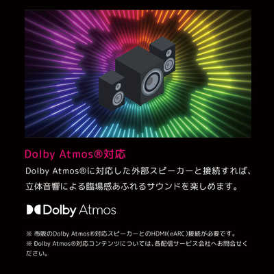 チューナーレス4Kテレビ オリオン65インチ　SAUD651 オリオン電機 チューナーレステレビ [ 65V型 / 4K対応 ]（TVチューナー