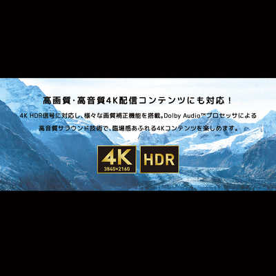 オリオン電機 チューナーレステレビ [ 75V型 / 4K対応 ]（TVチューナー