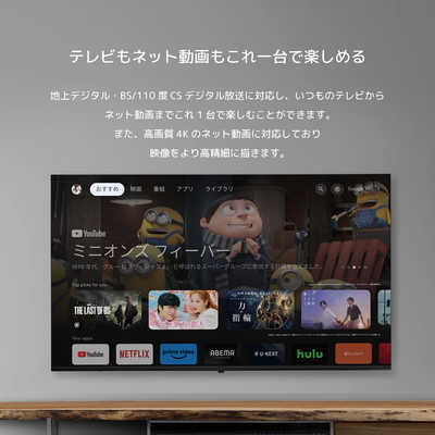 オリオン電機 液晶テレビ 55V型 4Kチューナー内蔵 YouTube