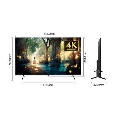 オリオン65型液晶テレビ 65V型 チューナーレス4K LED液晶テレビ | オリオン | SAUD651