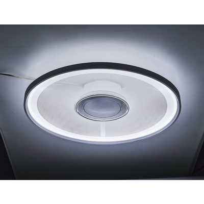 ドウシシャ LED照明 シーリングライト 12畳 調光 調色 Paneeel