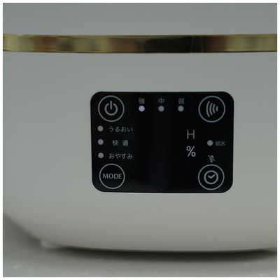 ドウシシャ カンタン給水超音波式加湿器 mistone300 ［超音波式
